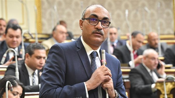 «استغل ثقته وقتله».. النائب إيهاب منصور صديق ضحية التجمع يكشف كواليس الجريمة